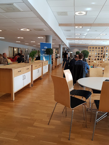 Comentarii opinii despre Matmästarna Tilegrim AB