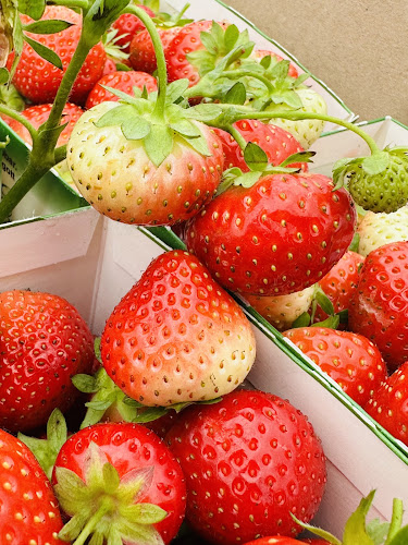 Comentarii opinii despre Eriksgården - restaurang och gårdsbutik