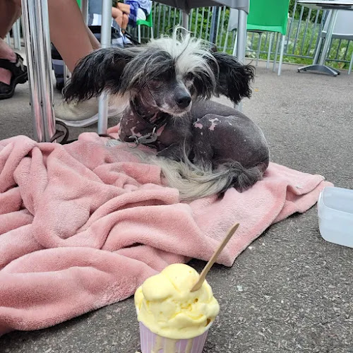 Landsvägen 2, 261 95 Sankt Ibb