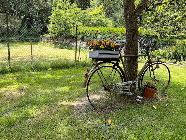 Comentarii opinii despre Kaffestugan Lyckan