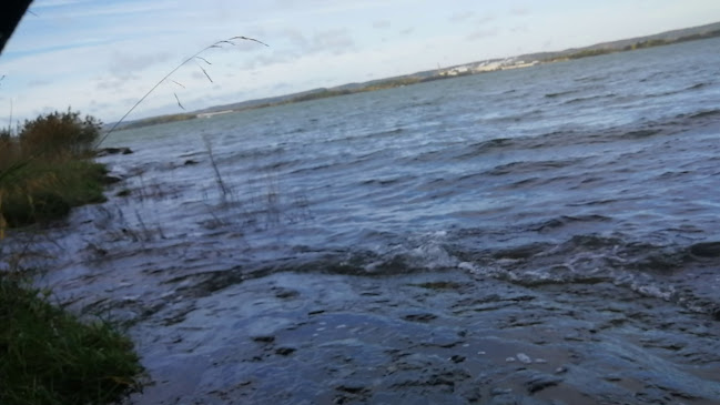 Abborrebergs Veranda