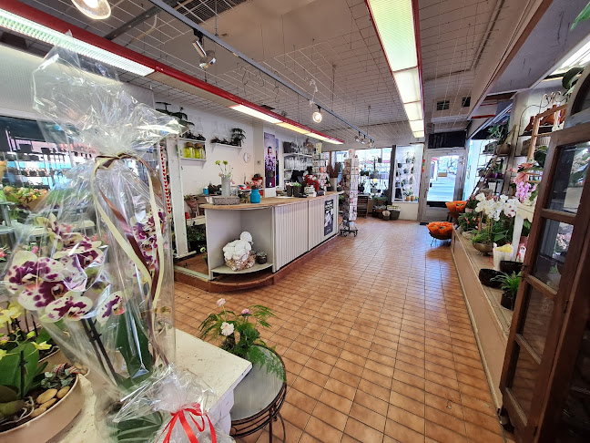 Hummelgrens Blomsterhandel - Blommor Norrköping - Norrköping