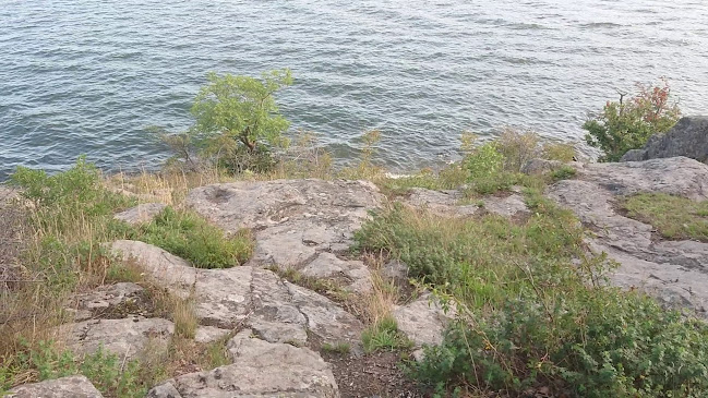 Dalénum Glassbar-Lidingö Glass AB - Lidingö