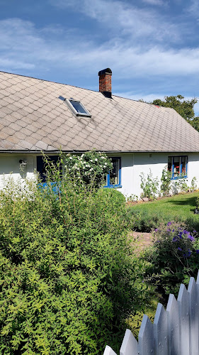 Comentarii opinii despre Kåseberga Bykrog