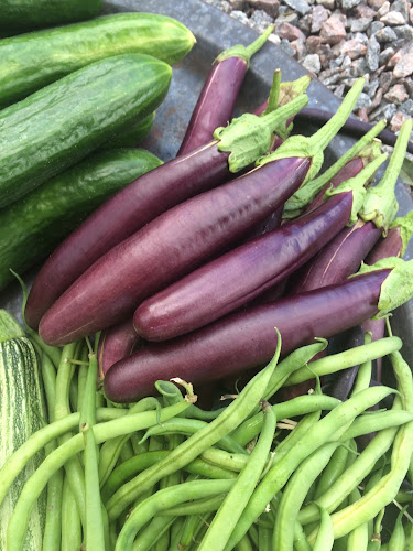 Ekö Gård 1, 614 98 S:t Anna