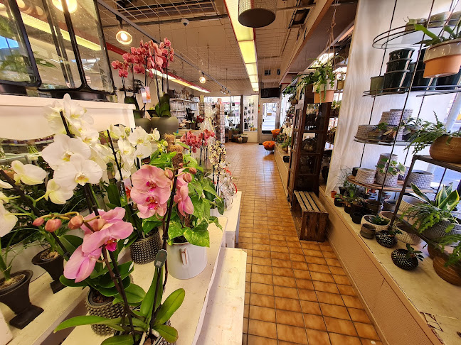 Hummelgrens Blomsterhandel - Blommor Norrköping - Gastronomi och hotellverksamhet