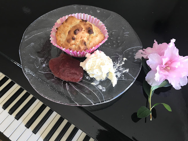 Nicola’s Café Bäckavattnet - Gastronomi och hotellverksamhet