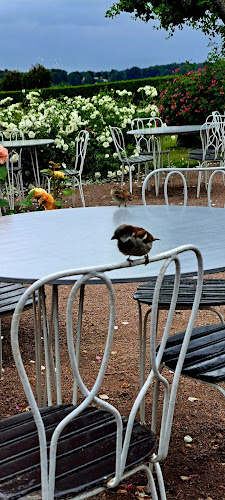 Bosjökloster Trädgårdscaféet - en del av Bosjökloster Slott - Höör