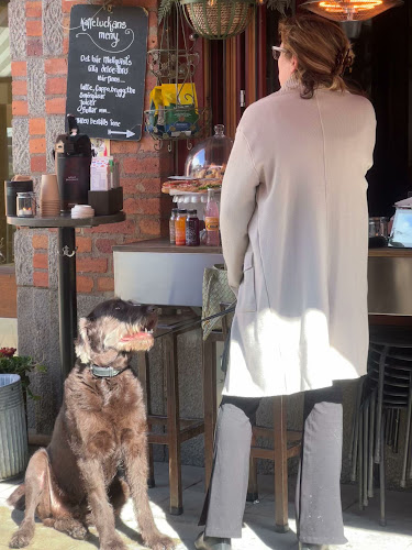 Reviews of Mellqvist Kaffebar in Stockholm - Gastronomi och hotellverksamhet