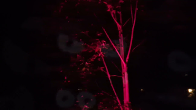 Lilla torget, 441 30 Alingsås