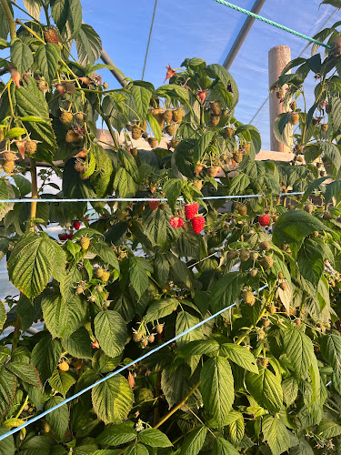 Opinii despre Ombergsboden în Ödeshög - Gastronomi och hotellverksamhet