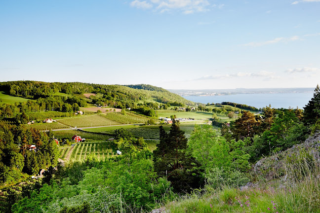 Äppledalen Kaxholmen Phone number