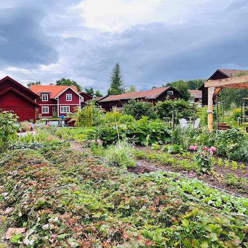 Nords Trädgård - Insjön