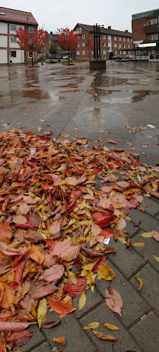 Comentarii opinii despre Pizzeria Campino