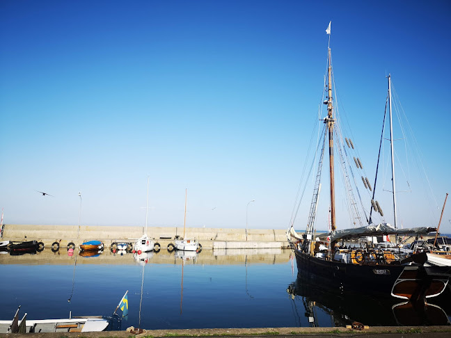 Comentarii opinii despre Branterögen