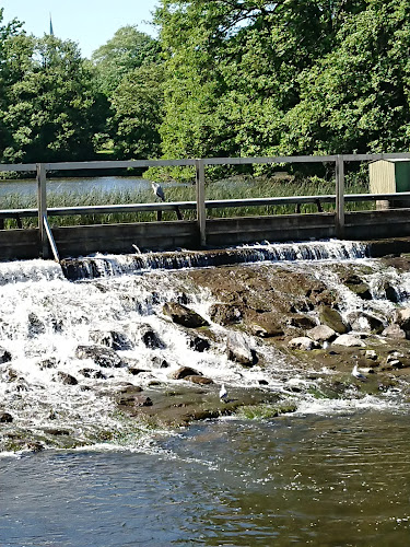 Comentarii opinii despre Matverkstan