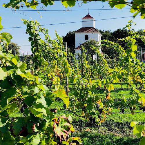 Ivögården Mat & Vingård - Fjälkinge