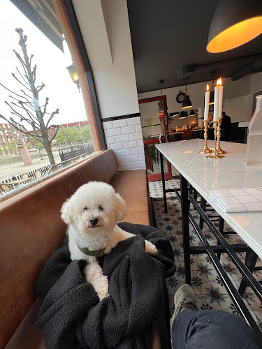 Torget Brasserie & Bar Phone number