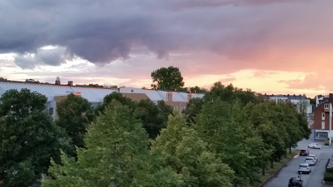 Restaurang China Grottan AB - Gastronomi och hotellverksamhet