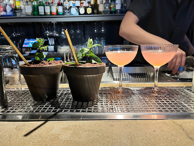 Comentarii opinii despre ADAMO