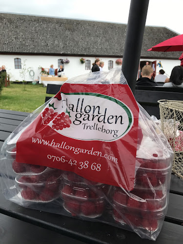 Hallongården - Trelleborg