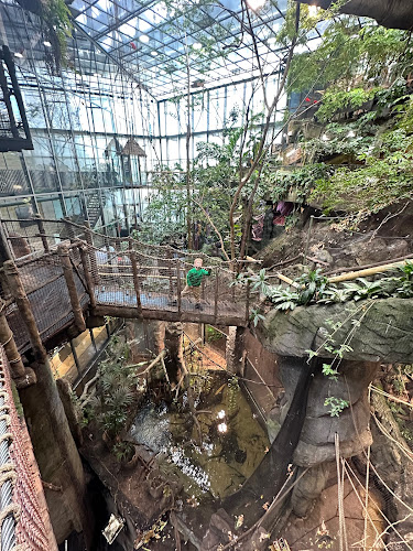 Universeum (RESTAURANG) Open Times