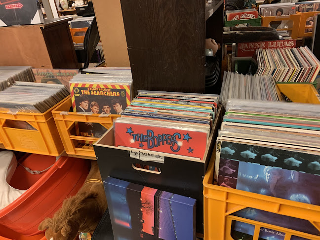 Quriosa antik loppis o vinyl - Gastronomi och hotellverksamhet