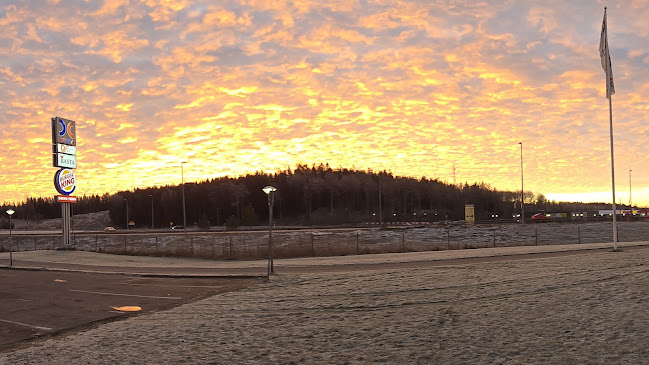 Comments and reviews of Rasta Grums