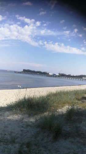 Seaside Restaurant Open Times