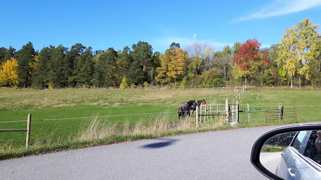 Opinii despre Elfviks Gårdsbistro în Lidingö - Gastronomi och hotellverksamhet