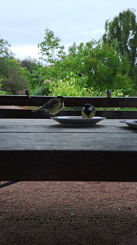 Opinii despre Botaniska Paviljongen în Göteborg - Gastronomi och hotellverksamhet