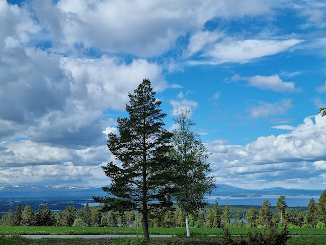 Stocke Titt Café Phone number