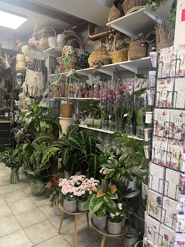 Blomsterjouren - Blommor Vasastan - Gastronomi och hotellverksamhet