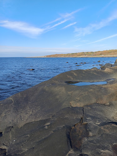 Opinii despre Göstas Café och Restaurang în Steninge - Gastronomi och hotellverksamhet