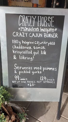 Comments and reviews of Crazy Horse