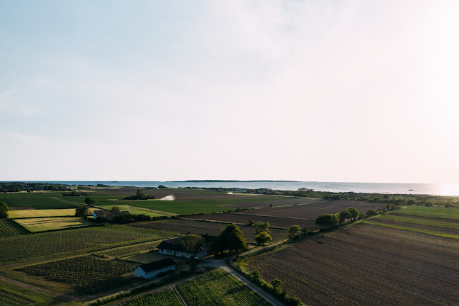 Thora Vingård - Halmstad