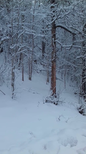 Opinii despre Fäboden i Säterdalen în Säter - Gastronomi och hotellverksamhet