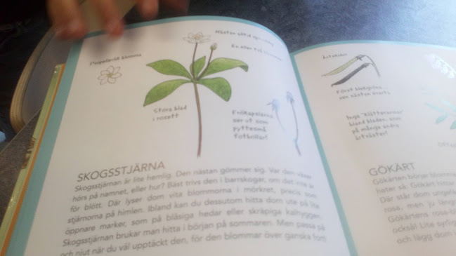 Loppmarknad - Gastronomi och hotellverksamhet