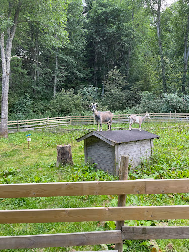 Säterdalen 8, 783 01 Säter