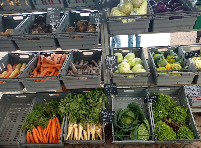 Torggatan 8, 432 41 Varberg