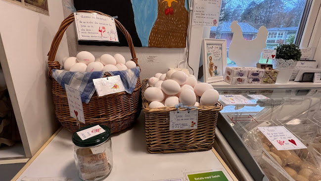 Bageri & Ägg Phone number