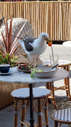 Café & Bageri Pascal