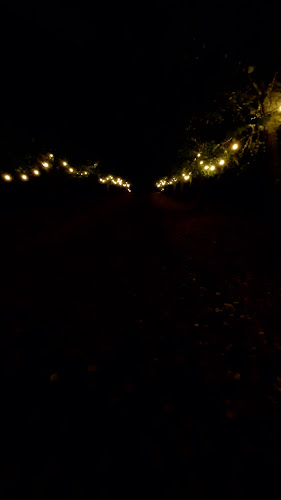 Cesarstugan - Gastronomi och hotellverksamhet