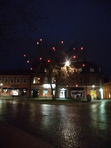 Comentarii opinii despre Hästtorgsgrillen/Davidsgrillen