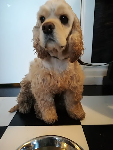 Comentarii opinii despre Strandparkens Kiosk, Café & Diner