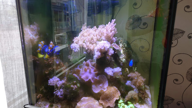 Reviews of Kronoparkens Pizzeria in Karlstad - Gastronomi och hotellverksamhet