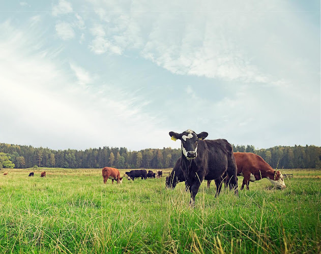 Lindholmsvägen 4, 417 57 Göteborg