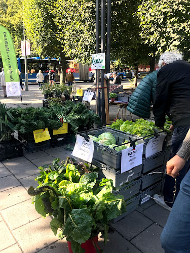 Opinii despre Tessinparken în Stockholm - Gastronomi och hotellverksamhet