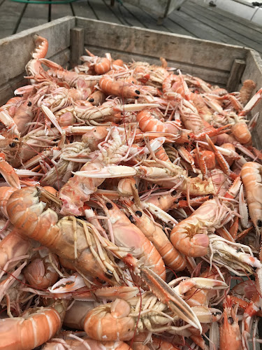 Opinii despre Trålverket în Stora Dyrön - Gastronomi och hotellverksamhet