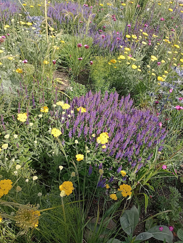 Comentarii opinii despre Lilla torget Alingsås